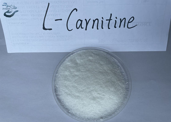 Pharmaceutical Raw Materials L-Carnitine Powder CAS 541-15-1 For Fat Burner